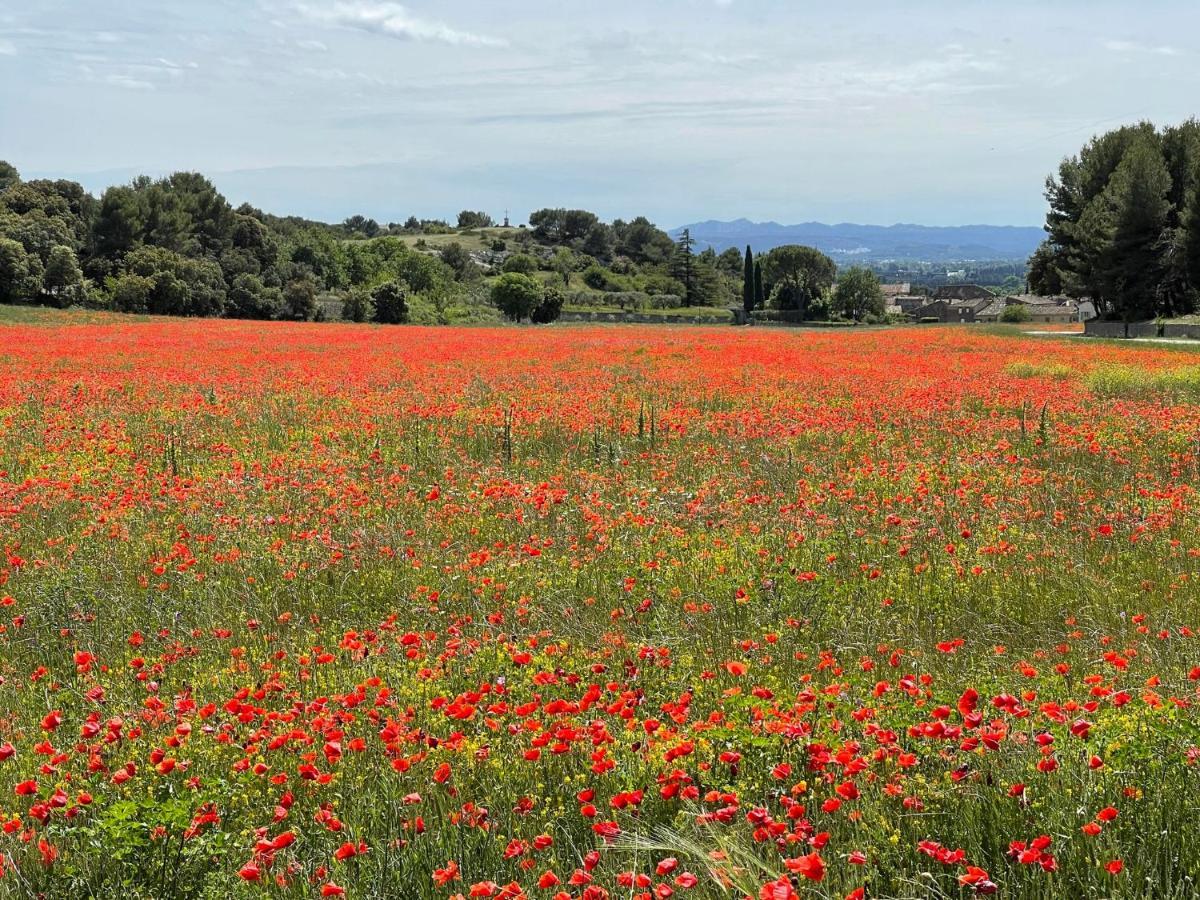 リル・シュル・ラ・ソルギュFleurs De Provenceアパートメント エクステリア 写真